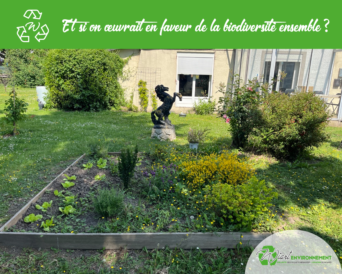 jeu concours wiart environnement, pour le respect de la biodiveristé