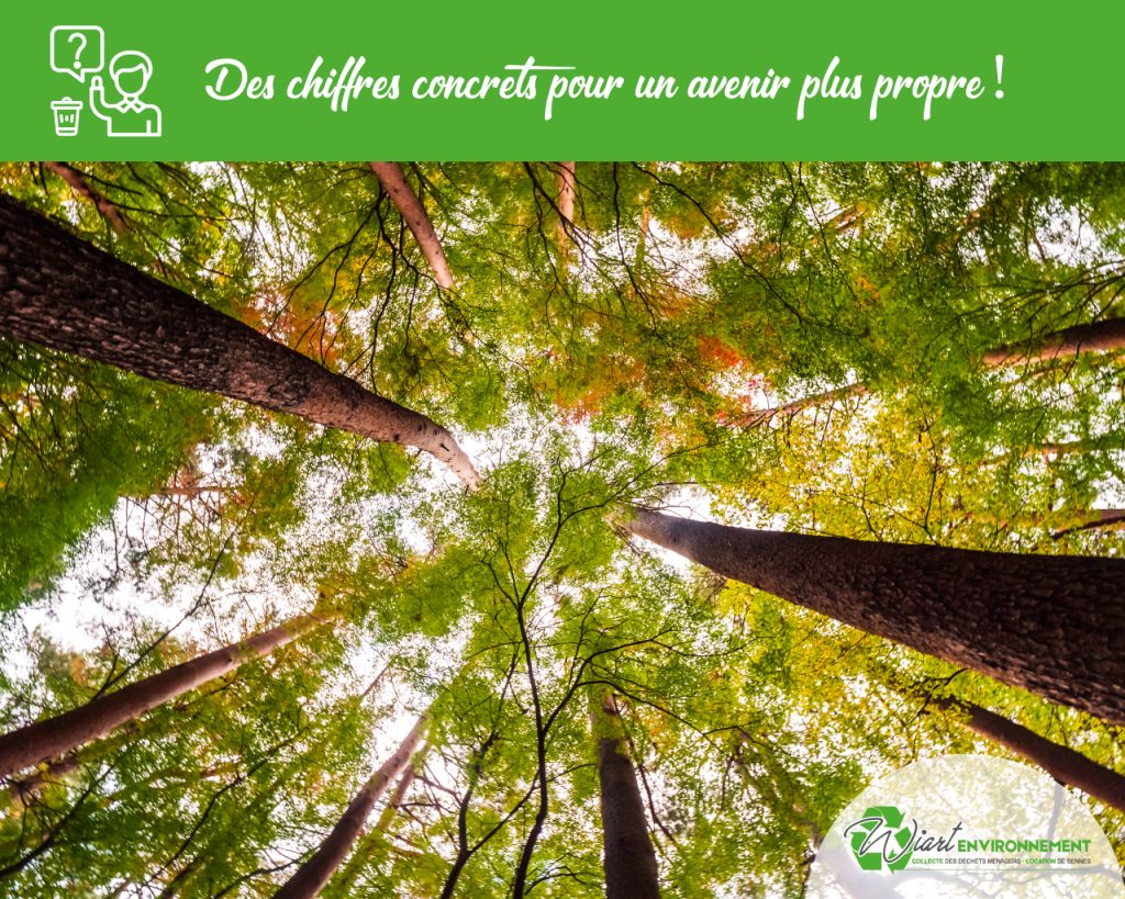collecte des déchets : chiffres concrets pour un avenir plus propre
