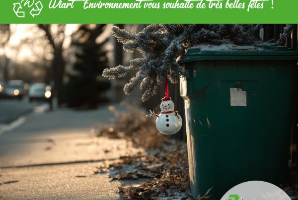 très belles fêtes de fin d'année de wiart environnement