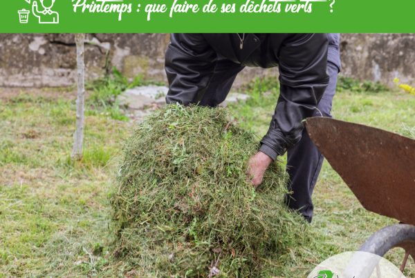printemps et déchet vert