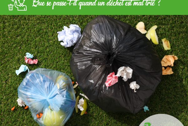 dechets mal trié et refus de poubelle
