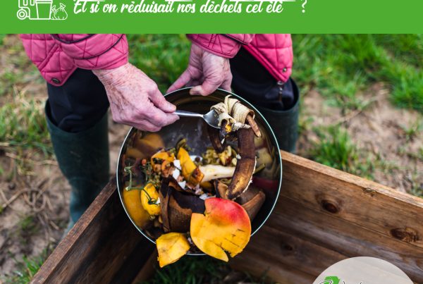 réduction déchets cet été